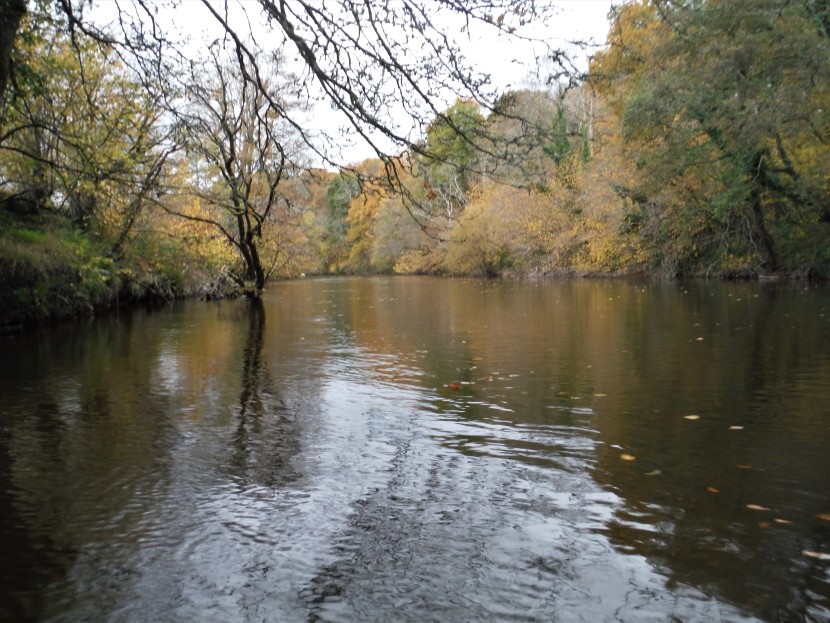 Cefnllysgwynne autumn